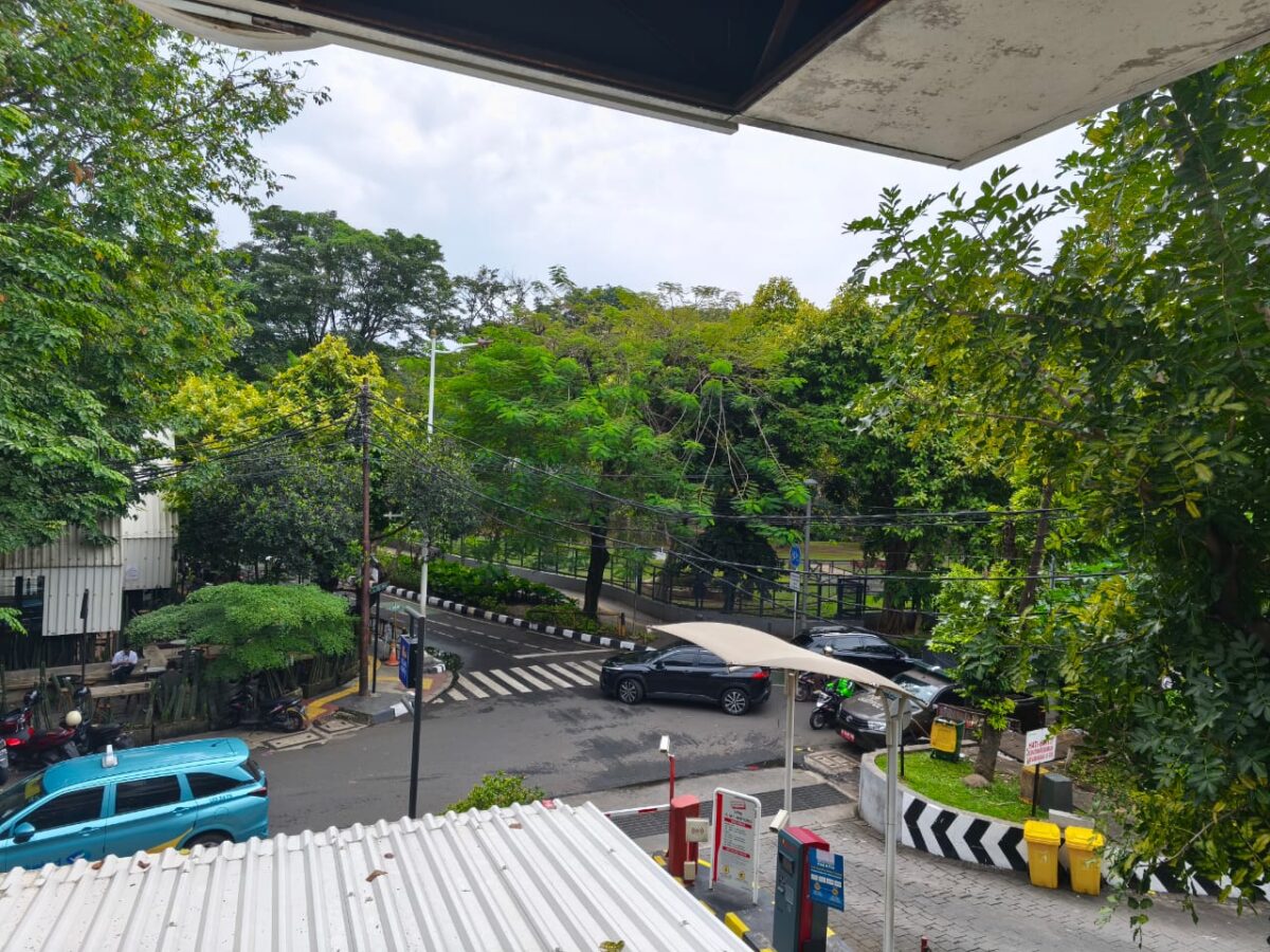 Tebet Eco Park: Tempat Diam yang Menyembuhkan